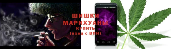 ALPHA PVP Ельня