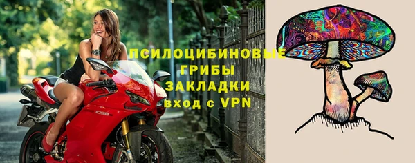 прущая мука Козловка