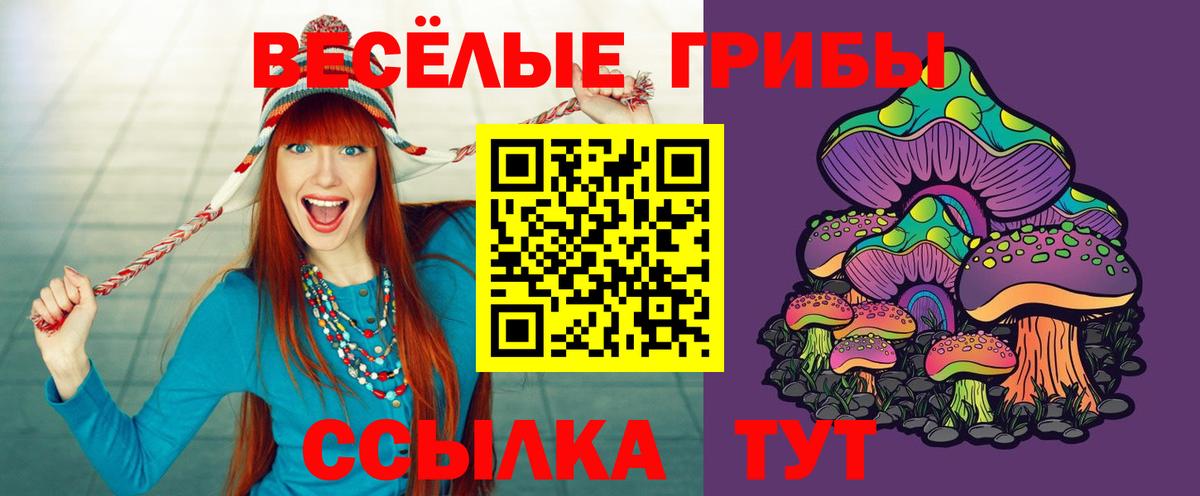 Псилоцибиновые грибы GOLDEN TEACHER Дзержинский