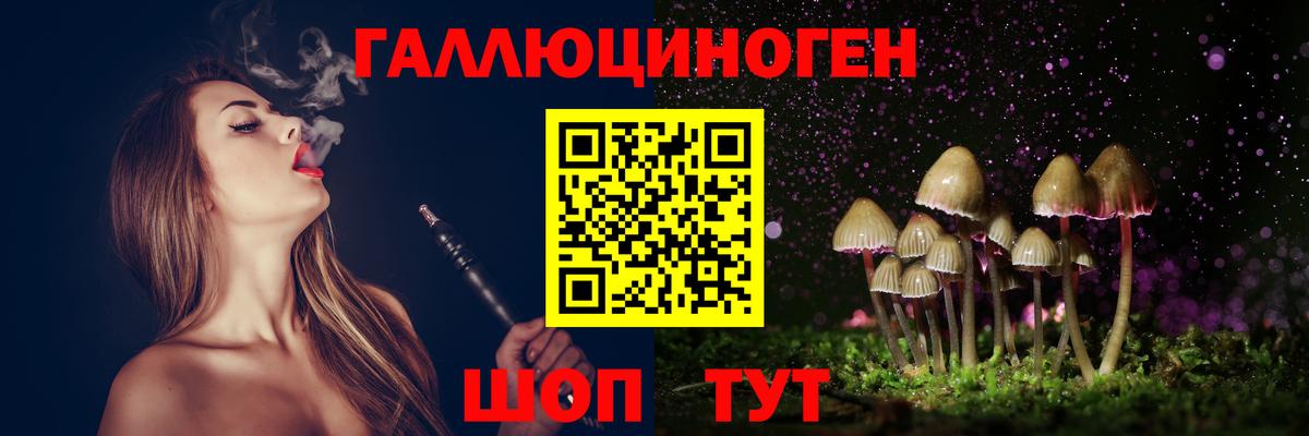 Дзержинский  Псилоцибиновые грибы Cubensis  Вход с VPN 