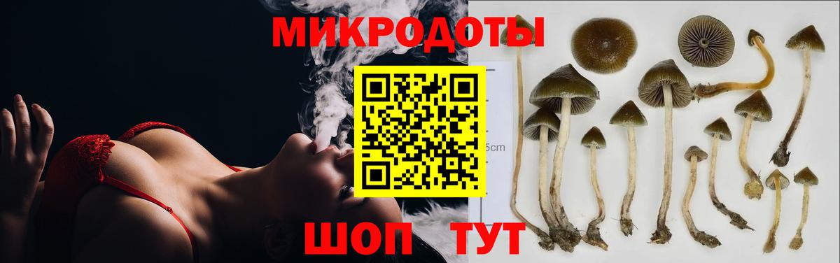 Галлюциногенные грибы Psilocybe  Псилоцибиновые грибы Cubensis  цена наркотик  Дзержинский 